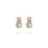 CS - LEAH EARRINGS GOLD AGAVE COMBO
