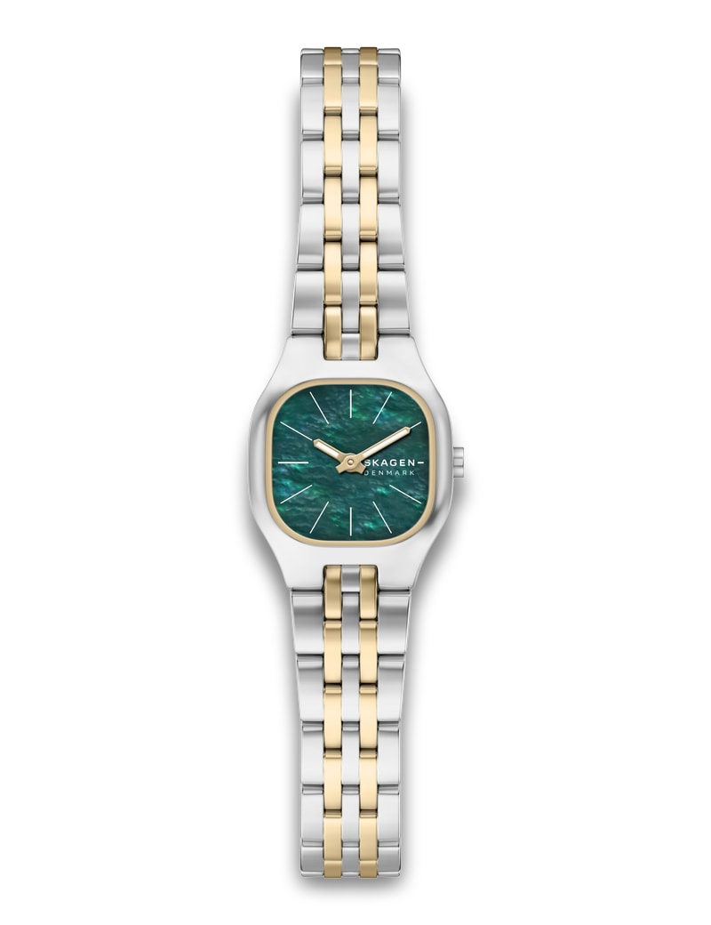 Skagen - Mellem Micro